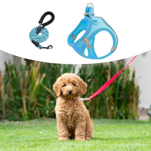 kinrguiyuez Hundegeschirr Und Leinen - Reflektierendes Anti-Würge-Pet-Vest-Geschirr | Atmungsaktives Ausbruchssicheres Geschirr Für Welpen Kätzchen Wanderungen Tierarzt Camping Training von kinrguiyuez