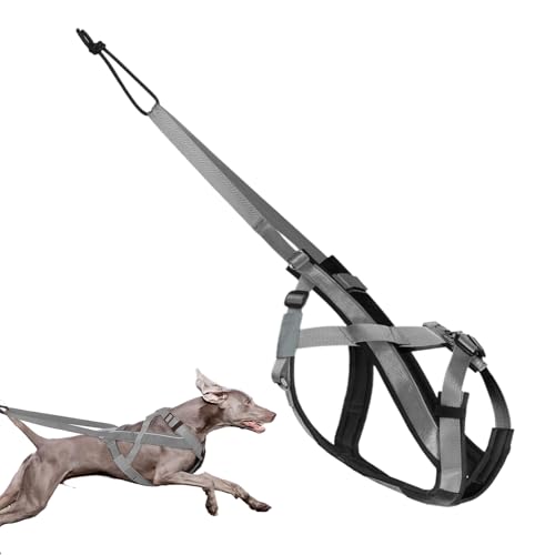 kinrguiyuez Hundegeschirr Zum Ziehen | Reflektierendes Großes Hundegeschirr,Komfortables Verstellbares Gurtzeug Für Schlitten Training Outdoor Aktivitäten kinrguiyuez Hundegeschirr Zum Ziehen | Reflektierendes Großes Hundegeschirr,Komfortables Verstellbares Gurtzeug Für Schlitten Training Outdoor Aktivitäten von kinrguiyuez