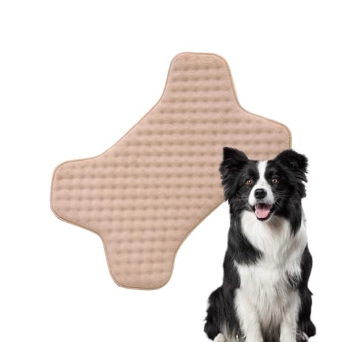 kinrguiyuez Hundehütte, maschinenwaschbar, niedliche Knochenform, Welpenmatratze – rutschfest, kaufest, verschleißfeste Haustier-Schlafunterlage für schlammige kinrguiyuez Hundehütte, maschinenwaschbar, niedliche Knochenform, Welpenmatratze – rutschfest, kaufest, verschleißfeste Haustier-Schlafunterlage für schlammige von kinrguiyuez