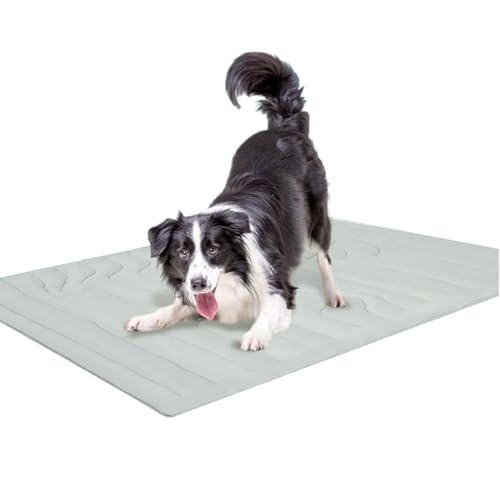 kinrguiyuez Hundekühlmatte, doppelseitige Haustierkühlkissen, Haustierkühlmatte für Hunde, Hundekühle, atmungsaktive Haustierversorgungen für Innenbettboden im Freien im Außenbettboden Autositze kinrguiyuez Hundekühlmatte, doppelseitige Haustierkühlkissen, Haustierkühlmatte für Hunde, Hundekühle, atmungsaktive Haustierversorgungen für Innenbettboden im Freien im Außenbettboden Autositze von kinrguiyuez