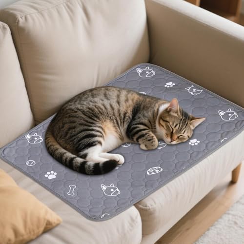 kinrguiyuez Hundetoilettenmatten - Welpen PIPI Unterlagen Kaninchen Matten - Waschbare Saugfähige Einlagen Boden Schutz Für Kleintiere Käfig Indoor Gehege Katzentoilette Hamster Katze kinrguiyuez Hundetoilettenmatten - Welpen PIPI Unterlagen Kaninchen Matten - Waschbare Saugfähige Einlagen Boden Schutz Für Kleintiere Käfig Indoor Gehege Katzentoilette Hamster Katze von kinrguiyuez