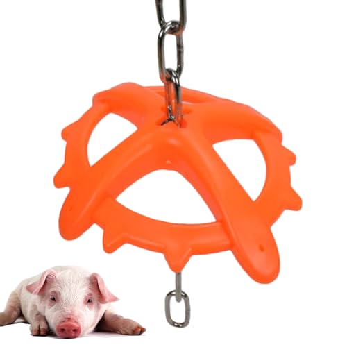 kinrguiyuez Kauspielzeug Für Nutztiere | Spielzeug Zur Vorbeugung Von Rangkämpfen Bei Tieren | Beschäftigungsgerät Mit Kette Für Heimtierhaltung Und Stall Zum Abbau Überschüssiger Energie von kinrguiyuez