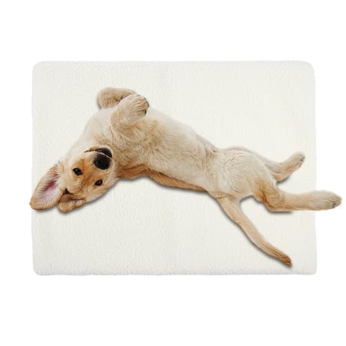 kinrguiyuez Plüschmatte für Hunde – rutschfeste, warme Haustierdecke, verschleißfester Reißverschluss, multifunktionale Matte für Katzen, Herbst und Winter kinrguiyuez Plüschmatte für Hunde – rutschfeste, warme Haustierdecke, verschleißfester Reißverschluss, multifunktionale Matte für Katzen, Herbst und Winter von kinrguiyuez