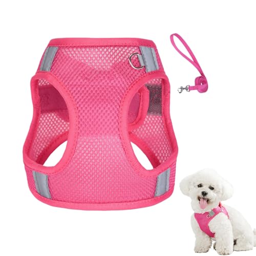 kinrguiyuez Reflexions-Hundegeschirr,Anti-Zug Reflektierende Hundeweste Und Leinenset | Haustierzubehör Mit Zugleine Für Einfache Kontrolle Bei Spaziergängen Und Outdoor Aktivitäten von kinrguiyuez