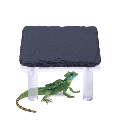 kinrguiyuez Schildkröten Sonnenfelsen,Bartagame Schutzhöhle Mit Acrylständer - Terrarium Deko Für Gecko Schildkröte Echse Schlange kinrguiyuez Schildkröten Sonnenfelsen,Bartagame Schutzhöhle Mit Acrylständer - Terrarium Deko Für Gecko Schildkröte Echse Schlange von kinrguiyuez