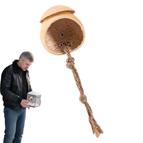 kinrguiyuez Spinnen Terrarium - Hölzerner Terrariumkäfig Mit Saugnapf,Kürbisform Deko Terrariumlandschaft Für Reptilienzubehör Wie Echsen Und Frösche kinrguiyuez Spinnen Terrarium - Hölzerner Terrariumkäfig Mit Saugnapf,Kürbisform Deko Terrariumlandschaft Für Reptilienzubehör Wie Echsen Und Frösche von kinrguiyuez
