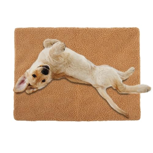kinrguiyuez Winter-Katzenbett, rutschfeste, warme Haustierdecke, verschleißfester Reißverschluss, multifunktionale Matte für Katzen, Herbst und Winter kinrguiyuez Winter-Katzenbett, rutschfeste, warme Haustierdecke, verschleißfester Reißverschluss, multifunktionale Matte für Katzen, Herbst und Winter von kinrguiyuez