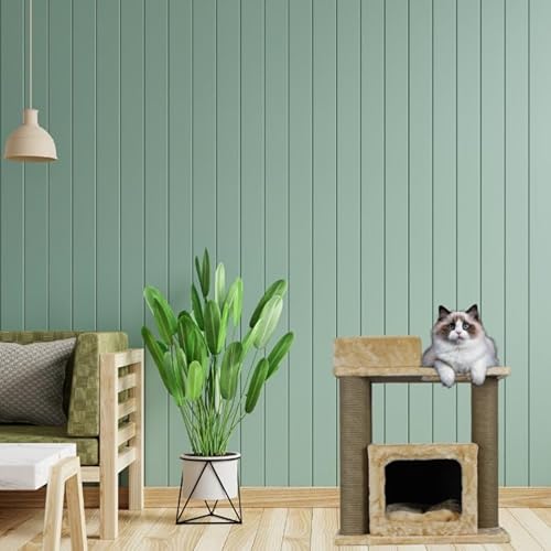 Kirin Legend Kleiner Katzenkratzbaum, Katzenmöbel, Spielbaum für kleine Katzen, mit Katzenhöhle Plüsch Sisal, Kratzbaum, Katzenbaum, Katzen kratzbaum, Katzenruhebereich, Schutz für Möbel (40x65x68cm) Kirin Legend Kleiner Katzenkratzbaum, Katzenmöbel, Spielbaum für kleine Katzen, mit Katzenhöhle Plüsch Sisal, Kratzbaum, Katzenbaum, Katzen kratzbaum, Katzenruhebereich, Schutz für Möbel (40x65x68cm) von kirin LEGEND