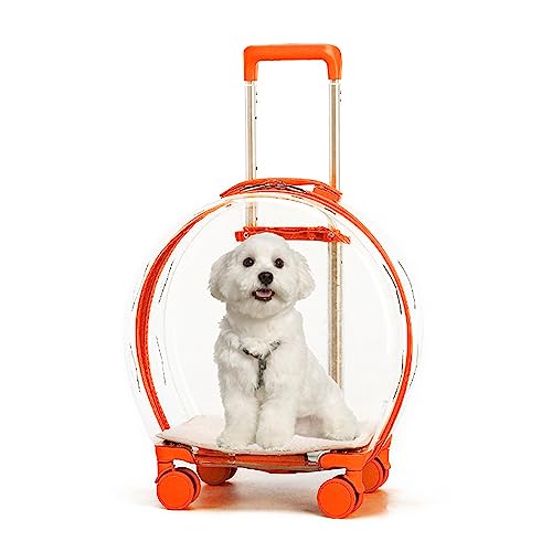 kiskick Haustier-Trolley, transparente Kapseltasche, Reisetasche, tragbar, mit Rad, Teleskopstange, Katzen und Hunde, Reisetasche, Tragetasche für Welpen, Hunde, Spaziergänge, Reisen, Orange kiskick Haustier-Trolley, transparente Kapseltasche, Reisetasche, tragbar, mit Rad, Teleskopstange, Katzen und Hunde, Reisetasche, Tragetasche für Welpen, Hunde, Spaziergänge, Reisen, Orange von kiskick