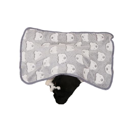 kiskick Weiche, bequeme Haustierdecke, Korallen-Fleece, Cartoon-Druck, lichtecht, lichtbeständig, Bettlaken, Kissen, niedlich mit Bär, Grau, Größe M kiskick Weiche, bequeme Haustierdecke, Korallen-Fleece, Cartoon-Druck, lichtecht, lichtbeständig, Bettlaken, Kissen, niedlich mit Bär, Grau, Größe M von kiskick