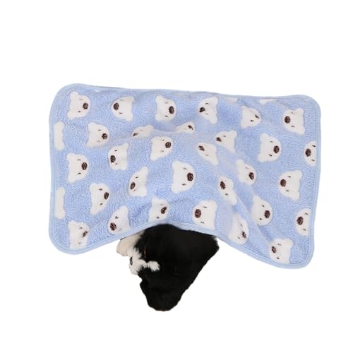 kiskick Weiche, bequeme Haustierdecke, Korallen-Fleece, Cartoon-Druck, lichtecht, lichtbeständig, Bettlaken, Kissen, niedlich mit Bär, blau, Größe L kiskick Weiche, bequeme Haustierdecke, Korallen-Fleece, Cartoon-Druck, lichtecht, lichtbeständig, Bettlaken, Kissen, niedlich mit Bär, blau, Größe L von kiskick
