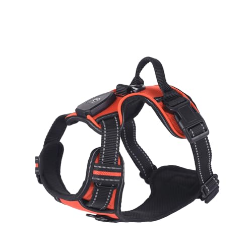 kiskick Weiches Hundegeschirr, reflektierend, 1 Set, leuchtendes Haustier, wiederaufladbar, LED-beleuchtet, verstellbar, leuchtender Brustgurt für Nacht, Orange, Größe S kiskick Weiches Hundegeschirr, reflektierend, 1 Set, leuchtendes Haustier, wiederaufladbar, LED-beleuchtet, verstellbar, leuchtender Brustgurt für Nacht, Orange, Größe S von kiskick