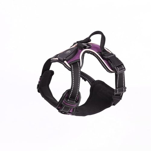 kiskick Weiches Hundegeschirr, reflektierend, 1 Set, leuchtendes Haustier, wiederaufladbar, LED-beleuchtet, verstellbar, leuchtender Brustgurt für Nacht, lila, Größe M kiskick Weiches Hundegeschirr, reflektierend, 1 Set, leuchtendes Haustier, wiederaufladbar, LED-beleuchtet, verstellbar, leuchtender Brustgurt für Nacht, lila, Größe M von kiskick