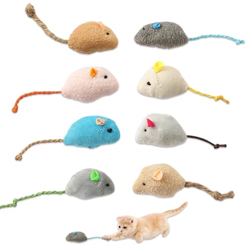 kitudaty 8 Stück Katzenspielzeug Set, Katzenminzen Spielzeug, Spielzeug Mäuse, Plüsch Katzenspielzeug, Katzenminze Maus für Katzen Kitty, Interaktives für Katzen und Kätzchen, für alle Katenrassen kitudaty 8 Stück Katzenspielzeug Set, Katzenminzen Spielzeug, Spielzeug Mäuse, Plüsch Katzenspielzeug, Katzenminze Maus für Katzen Kitty, Interaktives für Katzen und Kätzchen, für alle Katenrassen von kitudaty