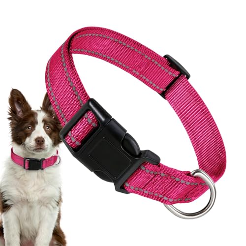 kivrimlarv Reflektierendes Halsband für Haustiere – Reflektierendes Hundehalsband aus Nylon, Hundehalsband, Komforthalsband für Hunde, atmungsaktiv, bequem für große Katzen, kleine Hunde von kivrimlarv