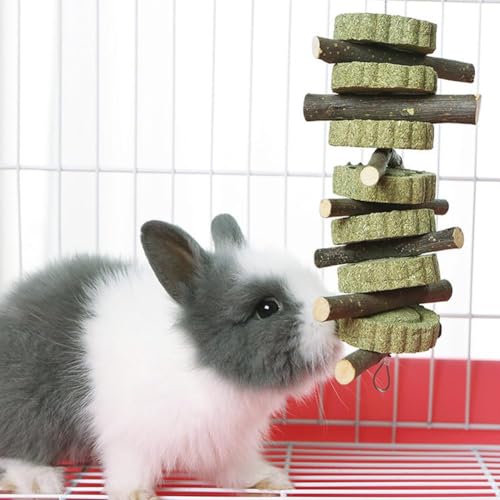 kkiuop Hasen-Kauspielzeug, natürliche Bio-Apfel-Kaustäbchen, verbessert die Zahngesundheit, sicheres Zähneknirschen Spielzeug für Chinchilla-Hamster, Nager (grün) von kkiuop