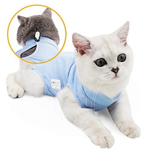 oUUoNNo Katzen-Wund-Operationsanzug für Bauchwunden oder Hautkrankheiten, nach Operationen, Pyjama-Anzug, E-Halsband-Alternative für Katzen und Hunde (L, Blau) von oUUoNNo