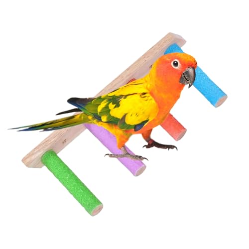 komsoup Sittich Leiter | Schaukelnde Holzleiter Für Vogelkäfig Mit Robustem Design | Interaktive Krallenschleifhilfe Für Sittiche, Conures Und Unzertrennliche komsoup Sittich Leiter | Schaukelnde Holzleiter Für Vogelkäfig Mit Robustem Design | Interaktive Krallenschleifhilfe Für Sittiche, Conures Und Unzertrennliche von komsoup