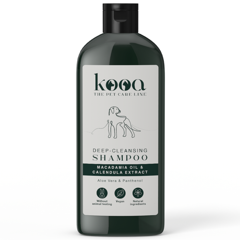 kooa Kombi-Paket: Tiefenreinigungsshampoo + Entwirrungsspray - Reinigungsshampoo (300 ml) + Entwirrungsspray (300 ml) von kooa