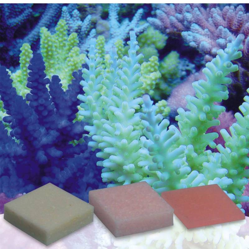 korallen-zucht Automatic Elements Eisen Konzentrat 5 Stück von korallen-zucht