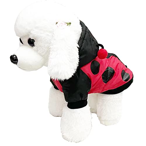 Dreidimensionales Marienkäfer-Hunde-Outfit, weiche Haustierbekleidung für kleine, mittelgroße und große Hunde – innovatives Halloween-Haustier, warme Kleidung von kot-au