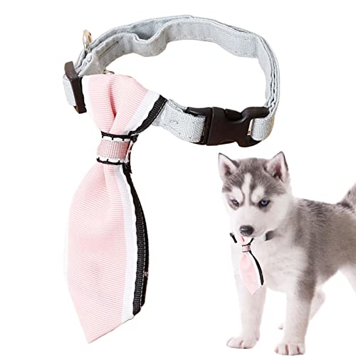 Hunde Krawatte mit Halsband - Bänder für Hundehalsband - Hund Fliege mit Glocke, Fellpflege Krawatten Halsband für kleine Welpen und Katzen, Kot-au Haustier Zubehör von kot-au