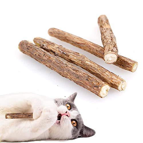Kot-au Katzenminze-Spielzeug-Sticks, interaktives Kätzchenspielzeug, Katzenminze-Stäbchen für die Zahnreinigung – interaktive Haustier-Snacks, Bac zähne von kot-au