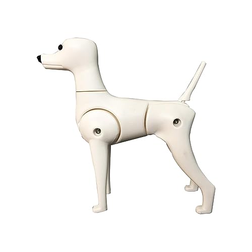Gefälschtes Hundekörpermodell, Hundeschaufensterpuppe für die Tierhandlung, Haustierpflege-Praxis-Haustiersimulationsmodell, stehendes Hundemodell, Pudel Gefälschtes Hundekörpermodell, Hundeschaufensterpuppe für die Tierhandlung, Haustierpflege-Praxis-Haustiersimulationsmodell, stehendes Hundemodell, Pudel von kowaku