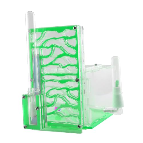 kowaku Ameisenbeobachtungsstation Aus Acryl mit Futterbereich Und Belüftung für Kinder Und Wissenschaftsprojekte, GrÜn kowaku Ameisenbeobachtungsstation Aus Acryl mit Futterbereich Und Belüftung für Kinder Und Wissenschaftsprojekte, GrÜn von kowaku