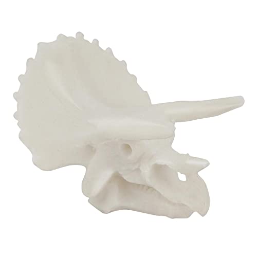 kowaku Aquarium-Dekoration, Kunstharz, Totenkopf, Aquarium, Dekoration, Fischhöhle, Triceratops kowaku Aquarium-Dekoration, Kunstharz, Totenkopf, Aquarium, Dekoration, Fischhöhle, Triceratops von kowaku