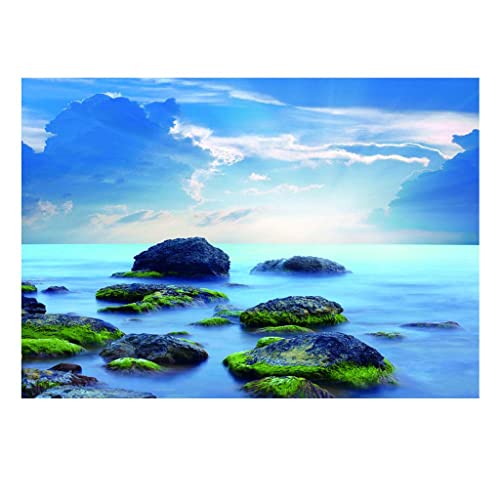 kowaku Aufkleber für Aquarien, PVC, Dekoration, XXL, 1 Stück kowaku Aufkleber für Aquarien, PVC, Dekoration, XXL, 1 Stück von kowaku