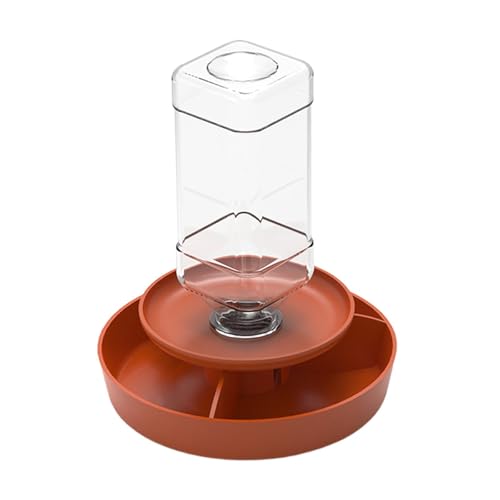 kowaku Futtertank für Reptilien Und Zubehör für Aquarien, Wassernapf für Schildkröten, Frösche Und Schlangen, Orange L kowaku Futtertank für Reptilien Und Zubehör für Aquarien, Wassernapf für Schildkröten, Frösche Und Schlangen, Orange L von kowaku