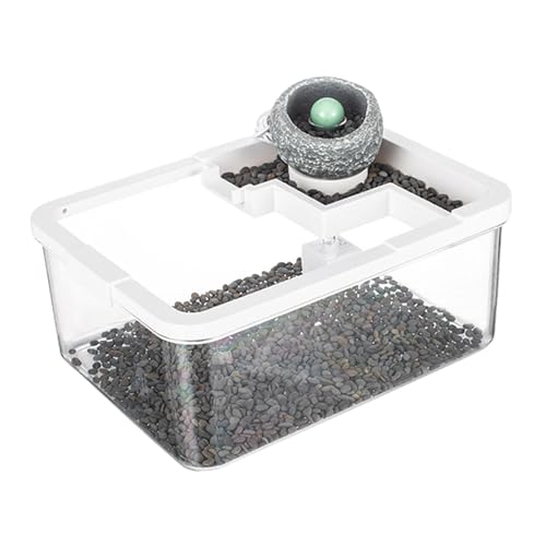 kowaku Goldfischbecken, kleine Aquariumpumpe, tragbar, Mikrolandschaft, Fischschale für Schreibtische, Couchtische, Büros, Wohnzimmer, Reptilien, Weiß kowaku Goldfischbecken, kleine Aquariumpumpe, tragbar, Mikrolandschaft, Fischschale für Schreibtische, Couchtische, Büros, Wohnzimmer, Reptilien, Weiß von kowaku