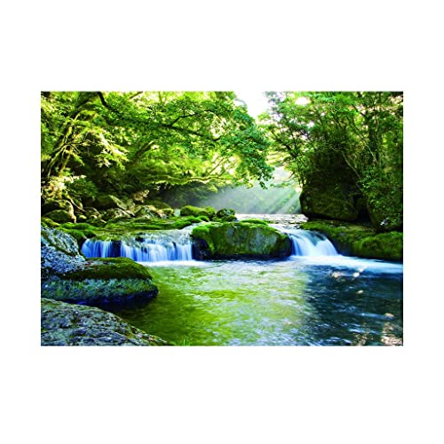 kowaku Hintergrundbild für Aquarien, Landschaft, 76 x 46 cm kowaku Hintergrundbild für Aquarien, Landschaft, 76 x 46 cm von kowaku