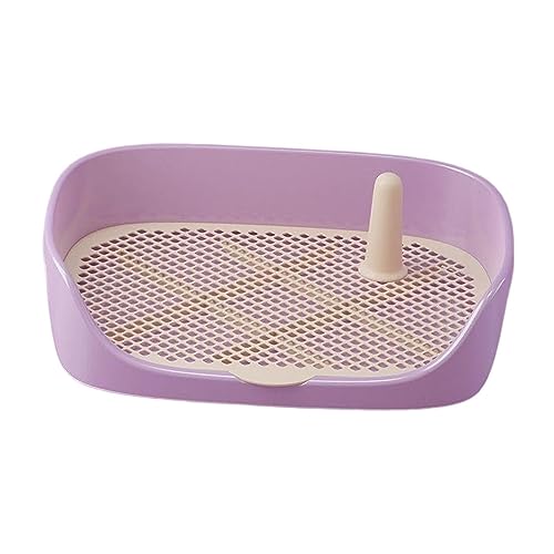 kowaku Hundetoilette für Hundetraining, Töpfchentraining, Toilette, Haustiertoilette für drinnen und draußen, Kaninchen, kleine, mittelgroße und große Hunde, Lila, 40 x 30 x 11 cm kowaku Hundetoilette für Hundetraining, Töpfchentraining, Toilette, Haustiertoilette für drinnen und draußen, Kaninchen, kleine, mittelgroße und große Hunde, Lila, 40 x 30 x 11 cm von kowaku