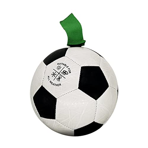 kowaku Interaktiver Ball für Hunde, für Rasen, See, Schwimmbad, Wasserspielzeug kowaku Interaktiver Ball für Hunde, für Rasen, See, Schwimmbad, Wasserspielzeug von kowaku