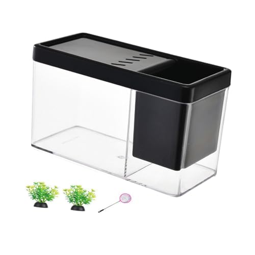 kowaku Mini Aquarium Set für Wohnzimmerdekoration, Schwarz kowaku Mini Aquarium Set für Wohnzimmerdekoration, Schwarz von kowaku