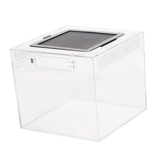 kowaku Terrariumbehälter für Reptilien, durchsichtig, mit Belüftung, Lebensraum, Zuchtbox für Springspinnen, Fische, Geckos, Leopardgecko, 20cmx20cmx18cm kowaku Terrariumbehälter für Reptilien, durchsichtig, mit Belüftung, Lebensraum, Zuchtbox für Springspinnen, Fische, Geckos, Leopardgecko, 20cmx20cmx18cm von kowaku