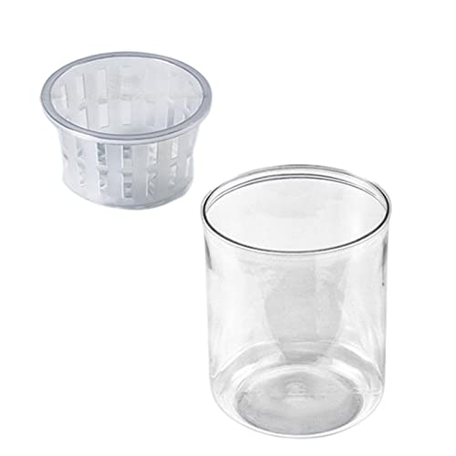 kowaku Transparentes Aquarium-Dekoration, Ökosystem, Aquarium-Pflanzgefäß, Blumentopf, Bonsai-Anbausystem für Zuhause, Außenbereich, Garten, Innen-Bonsai, 12 x 6,5 cm kowaku Transparentes Aquarium-Dekoration, Ökosystem, Aquarium-Pflanzgefäß, Blumentopf, Bonsai-Anbausystem für Zuhause, Außenbereich, Garten, Innen-Bonsai, 12 x 6,5 cm von kowaku