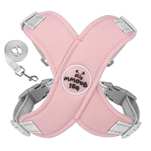 Hundegeschirr für kleine Hunde und Katzen, kein Ziehen, reflektierend, einfache Kontrolle, Haustiergeschirr mit Leine und Metall-D-Ring, für kleine und mittelgroße Hunde, Luftgeschirr und Leine, kein Hundegeschirr für kleine Hunde und Katzen, kein Ziehen, reflektierend, einfache Kontrolle, Haustiergeschirr mit Leine und Metall-D-Ring, für kleine und mittelgroße Hunde, Luftgeschirr und Leine, kein von kwoifioy