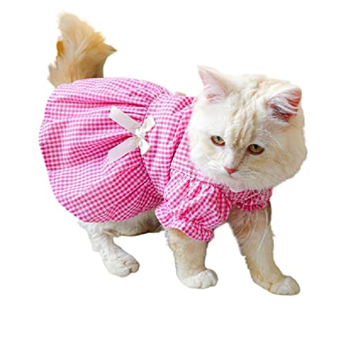 Hundekleider für kleine Hunde, Mädchen, Katzen, Kleid für Hunde, Haustierkleider, Welpen, Kleid, Hunderock, Welpenrock, Hundekleider für kleine Hunde, Mädchen Hundekleider für kleine Hunde, Mädchen, Katzen, Kleid für Hunde, Haustierkleider, Welpen, Kleid, Hunderock, Welpenrock, Hundekleider für kleine Hunde, Mädchen von kwoifioy