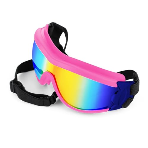 Schutzbrille Für Katzen Und Hunde Schöne Haustierbrille Für Frühling Wandern Reisen Stretch Gürtel Sonnenbrille Für Haustierfotografie Haustier Sonnenbrille Für Große Hunde Haustier Sonnenbrille Schutzbrille Für Katzen Und Hunde Schöne Haustierbrille Für Frühling Wandern Reisen Stretch Gürtel Sonnenbrille Für Haustierfotografie Haustier Sonnenbrille Für Große Hunde Haustier Sonnenbrille von kwoifioy