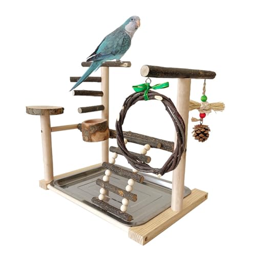 Vogel-Trainingsschaukel Ständer Desktops Multifunktionaler Papagei mit Fütterung für kleine große Sittiche Vogel für Papageien Vogelständer Vogel für Käfig Vogel Vogel-Trainingsschaukel Ständer Desktops Multifunktionaler Papagei mit Fütterung für kleine große Sittiche Vogel für Papageien Vogelständer Vogel für Käfig Vogel von kwoifioy