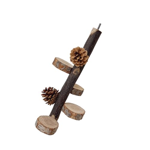 kwoifioy Papageien Schleifen Kratzer Barsch Tannenzapfen Vogel Stehen Käfig Spielzeug Leiter Rack Spielzeug Schleifen Barsch Liefert kwoifioy Papageien Schleifen Kratzer Barsch Tannenzapfen Vogel Stehen Käfig Spielzeug Leiter Rack Spielzeug Schleifen Barsch Liefert von kwoifioy