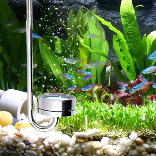 kyaoayo Aquarium CO2 Diffusor, Diffuser Aquarium, aus Edelstahl, CO2 Diffusor Aquarium, professioneller CO2-Verteiler zur Förderung der Gesundheit von Aquarienpflanzen. (30 cm) von kyaoayo