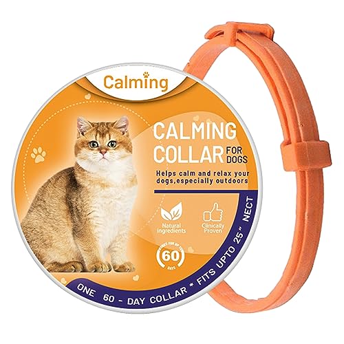 kyaoayo Pheromone Katzen Beruhigende Halsband, Katzenhalsband zur Beruhigung von Angst und Lindern Stress, verstellbare Katzenhalsband Ruhiges Katzenhalsband Verhalten, Sichere Und Wirksam (Orange) von kyaoayo