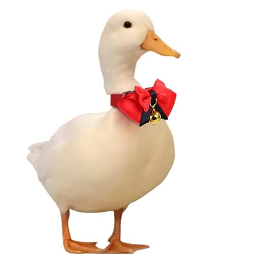 Verstellbares Halsband mit Glöckchen, Fliege für Enten, Hühner und kleine Haustiere, handgefertigtes Haustier-Halszubehör mit weichem Stoff, süßer Schleife und Glöckchen, 12-16 cm Halsgröße Verstellbares Halsband mit Glöckchen, Fliege für Enten, Hühner und kleine Haustiere, handgefertigtes Haustier-Halszubehör mit weichem Stoff, süßer Schleife und Glöckchen, 12-16 cm Halsgröße von kychenBase