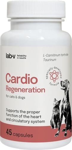 Cardio Regeneration Lab-V, 45 Kapseln, fortgeschrittene Herzunterstützung für Hunde und Katzen, tierärztliche Formel mit Taurin, L - Arginin und L - Carnitin für Hunde und Katzen, gesundes Herz Cardio Regeneration Lab-V, 45 Kapseln, fortgeschrittene Herzunterstützung für Hunde und Katzen, tierärztliche Formel mit Taurin, L - Arginin und L - Carnitin für Hunde und Katzen, gesundes Herz von Lab-V