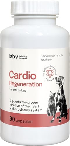 Cardio Regeneration Lab-V, 90 Kapseln, fortgeschrittene Herzunterstützung für Hunde und Katzen, tierärztliche Formel mit Taurin, L - Arginin und L - Carnitin für Hunde und Katzen, gesundes Herz Cardio Regeneration Lab-V, 90 Kapseln, fortgeschrittene Herzunterstützung für Hunde und Katzen, tierärztliche Formel mit Taurin, L - Arginin und L - Carnitin für Hunde und Katzen, gesundes Herz von Lab-V