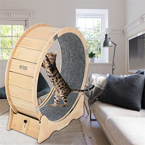 laddawan Cat Exercise Wheel Indoor Treadmill Small Animals Exercise Wheels ，cat Runway, Fitness Weight Loss Device，Cat Running Wheel ，Pet Toy ，Large-Sized cat Wheel (Extra Large) (XL) von laddawan